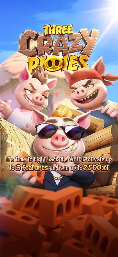 Three CZ Pigs
