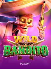 Wild Bandito